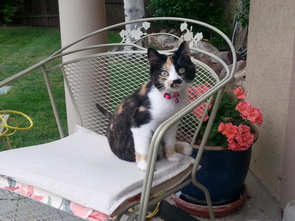 /Images/uploads/Humane Society of Utah/HSUCalendar/entries/945thumb.jpg